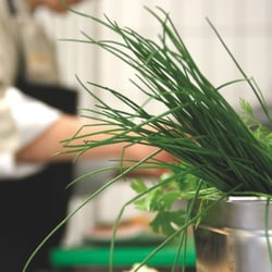 Genießerrestaurant Brunshaupten