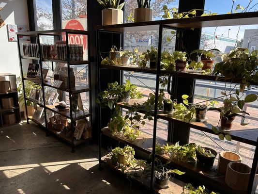 Banh & Butter Bakery Cafe by null