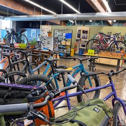 Shots of the store
