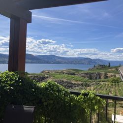 Marichel Vineyard - View