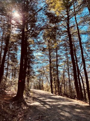 Minnewaska State Park Preserve by null