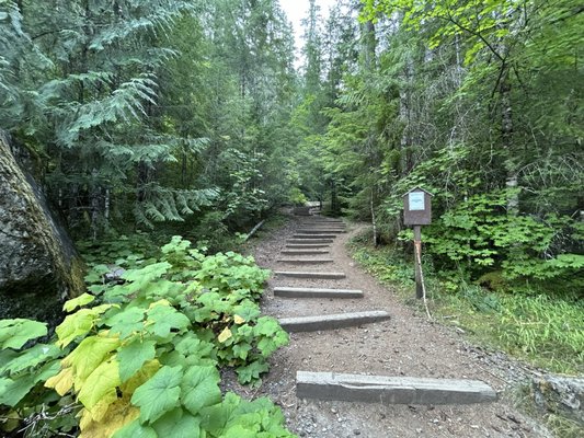 Watson Falls by null