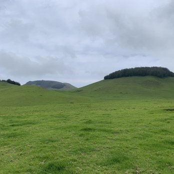 Paniolo Adventures - Green hills - Horseback Riding Near Me