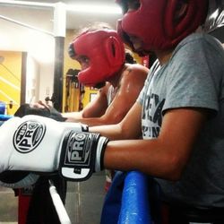 Apex Boxing - Champions are made in the ring.
