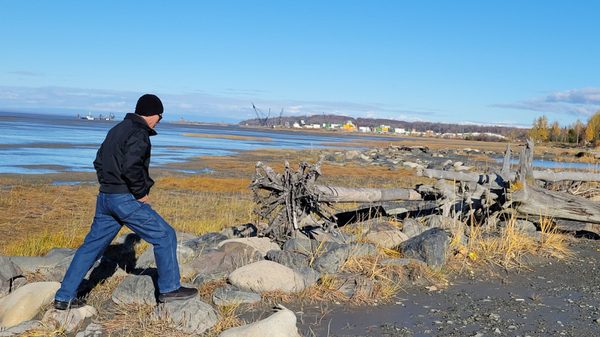 Tony Knowles Coastal Trail by null