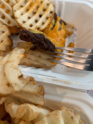 The Waffle Bus by null