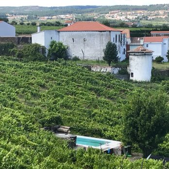 Jorge Barefoot - Wine & Tours - Boat Tours Near Me - Pinhão, 17