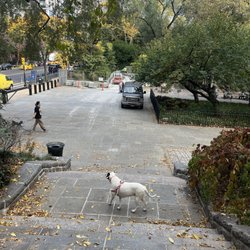 Nearby Park