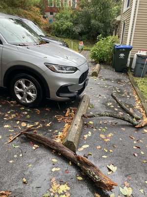 Auto Craft Body & Collision