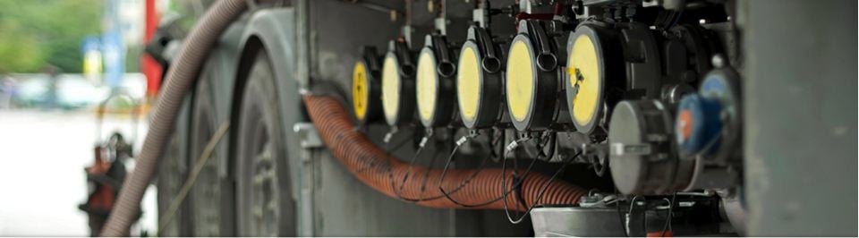 Slide of A Bee Septic