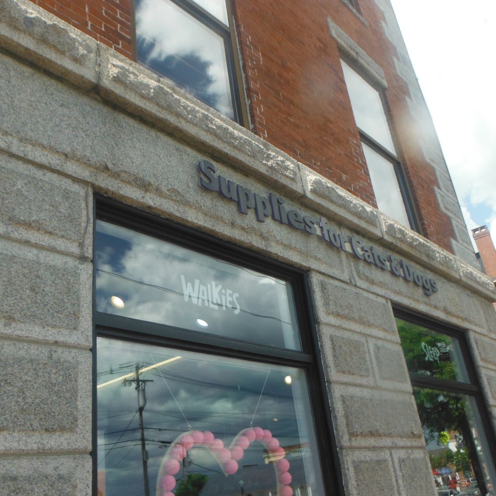 The Fish & Bone - The Fish & Bone - Pet Stores Near Me - Portland, Maine The Fish & Bone - The Fish & Bone - Pet Stores Near Me - Portland, Maine
