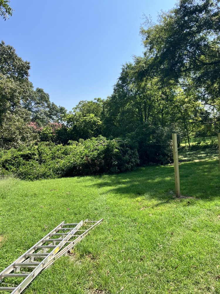 Slide of That guy landscaping