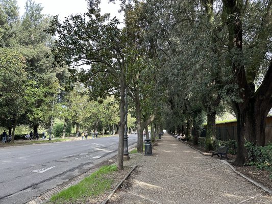 Villa Borghese by null