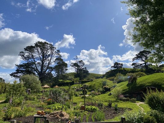 Hobbiton™ Movie Set Tours by null