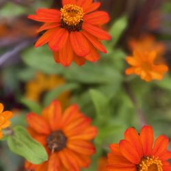 Brock Farms Home & Garden World
