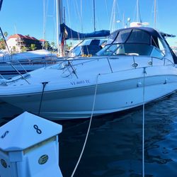 Unda Da Sun Charters - Salty Dog