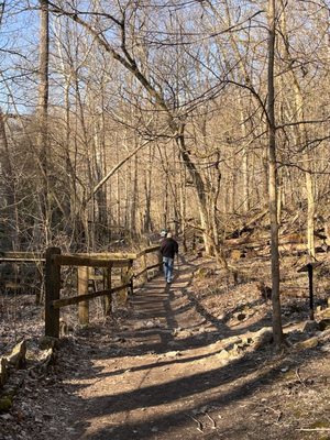 Clifton Gorge State Nature Preserve by null