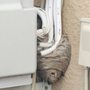Fillmore Termite & Pest Control