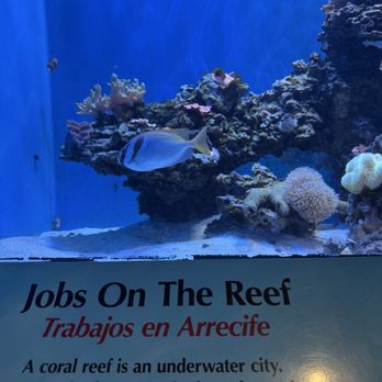 ABQ BioPark Aquarium - Aquariums Near Me - Albuquerque, New Mexico