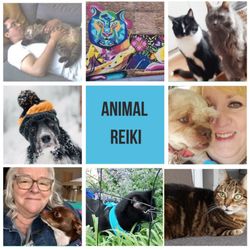 Lakeview Healing Oasis - Thrilled to now offer Animal Reiki