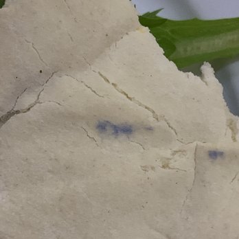 Pita Jungle - Yup mold..... fuzzy mold on my pita bread no wonder nobody is in here on a Friday night. Enough said! What a sad shame!!! - New American Near Me - Phoenix, Arizona Pita Jungle - Yup mold..... fuzzy mold on my pita bread no wonder nobody is in here on a Friday night. Enough said! What a sad shame!!! - New American Near Me - Phoenix, Arizona