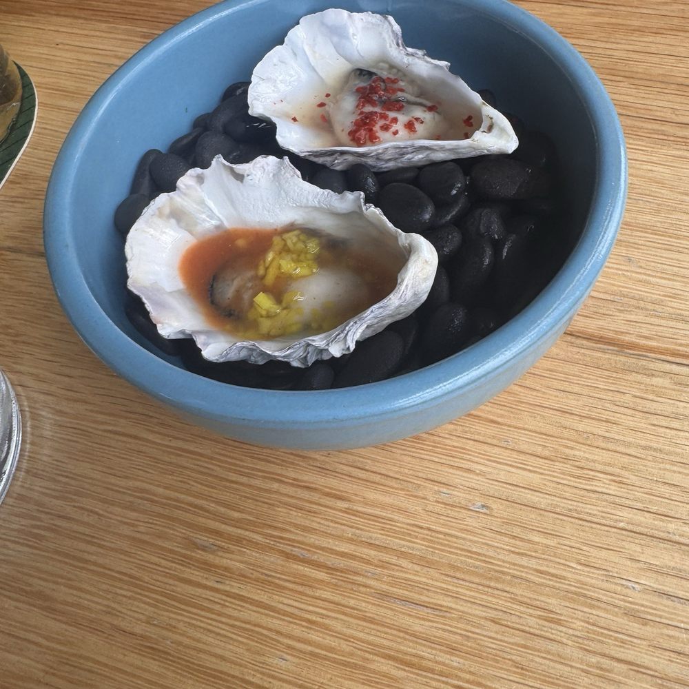Oysters Oysters