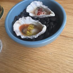 Oysters Oysters