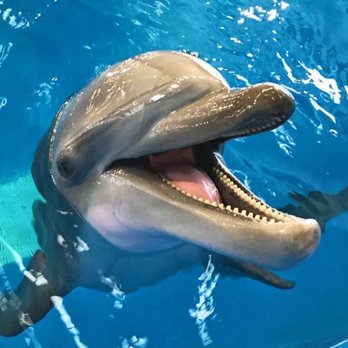 Ocean Adventures - Aquariums Near Me - Gulfport, Mississippi