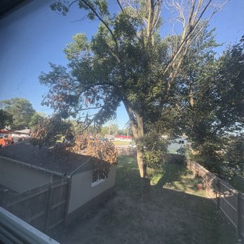 Walton Tree Service - Tree Services Near Me - Perry, Iowa
