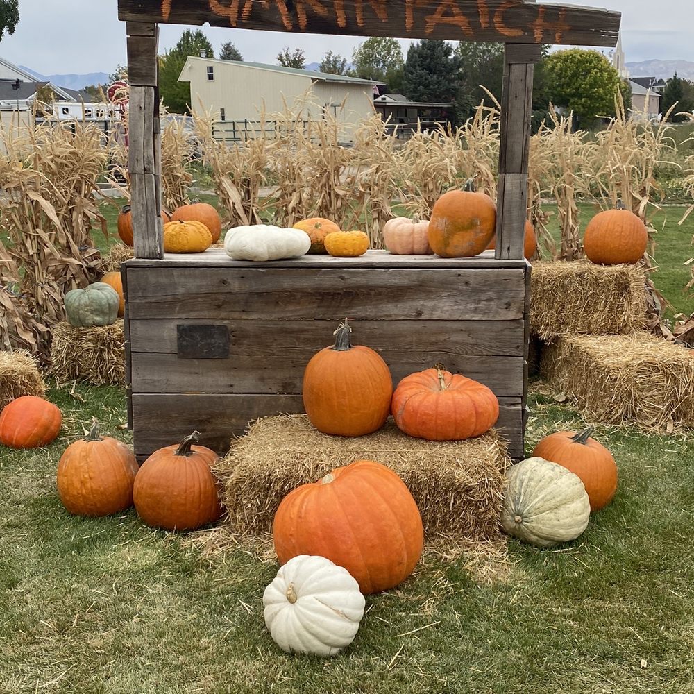 Mabey’s Pumpkin Patch - Pumpkin Patches Near Me - South Jordan, Utah Mabey’s Pumpkin Patch - Pumpkin Patches Near Me - South Jordan, Utah