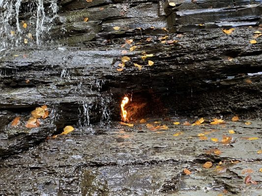 Chestnut Ridge Park by null