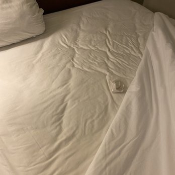 Baymont by Wyndham Jackson/Ridgeland - Wadded up tissue under covers of "clean" bed - Hotels Near Me - Jackson, Mississippi Baymont by Wyndham Jackson/Ridgeland - Wadded up tissue under covers of "clean" bed - Hotels Near Me - Jackson, Mississippi