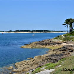 Port Navalo - La côte