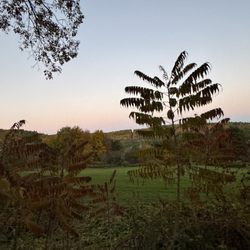 Parsons Marsh Reserve