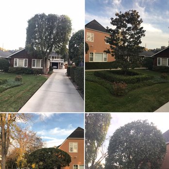 Arturo's Tree Service - Satisfied customers in Claremont - Tree Services Near Me