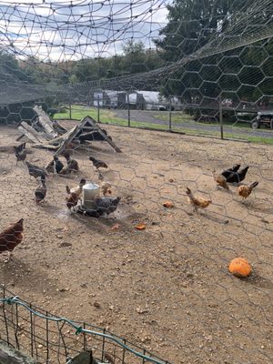 1760 Homestead Farm by null