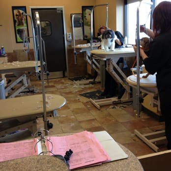 PetSmart - Grooming - Pet Training Near Me - Maplewood, Minnesota PetSmart - Grooming - Pet Training Near Me - Maplewood, Minnesota