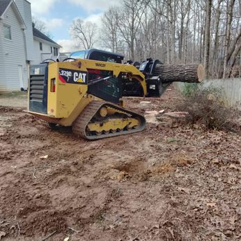 AllGreen Tree Services - Tree Services Near Me AllGreen Tree Services - Tree Services Near Me