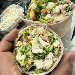 Blue Line Deli & Bagels - Grilled Chicken Caesar Wrap
