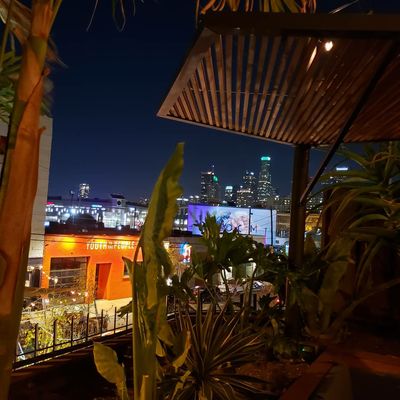 Cha Cha Chá by null