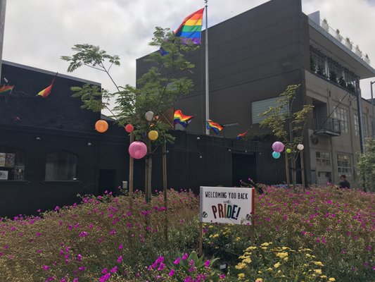 San Francisco Eagle Bar by null