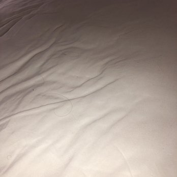 Home2 Suites by Hilton Roanoke - don't you love when you have crumbs and hair in your sheets - Hotels Near Me - Roanoke, Virginia Home2 Suites by Hilton Roanoke - don't you love when you have crumbs and hair in your sheets - Hotels Near Me - Roanoke, Virginia