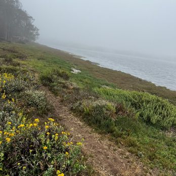 Sea Pines Golf Resort - Trail behind hotel - Resorts Near Me - Los Osos, California