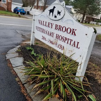 Valley Brook Veterinary Hospital - Veterinarians Near Me - Fair Lawn, New Jersey Valley Brook Veterinary Hospital - Veterinarians Near Me - Fair Lawn, New Jersey