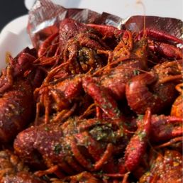 Crawfish Crawfish