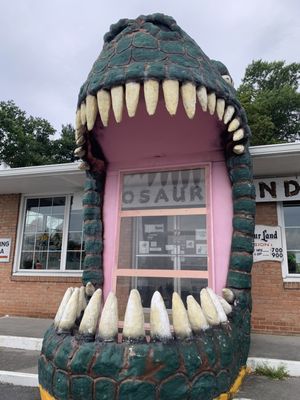 Dinosaur Land by null
