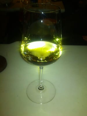 WEIN & CO Wien Stephansplatz – Weinbar & Flagshipstore by null