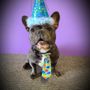 Photo of Squeak N Chew Pet Supplies