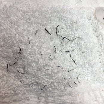 Makeup Lee Mee - These are those eyelashes in previous photo after removal. Yuck - Eyelash Service Near Me - Davis, California Makeup Lee Mee - These are those eyelashes in previous photo after removal. Yuck - Eyelash Service Near Me - Davis, California