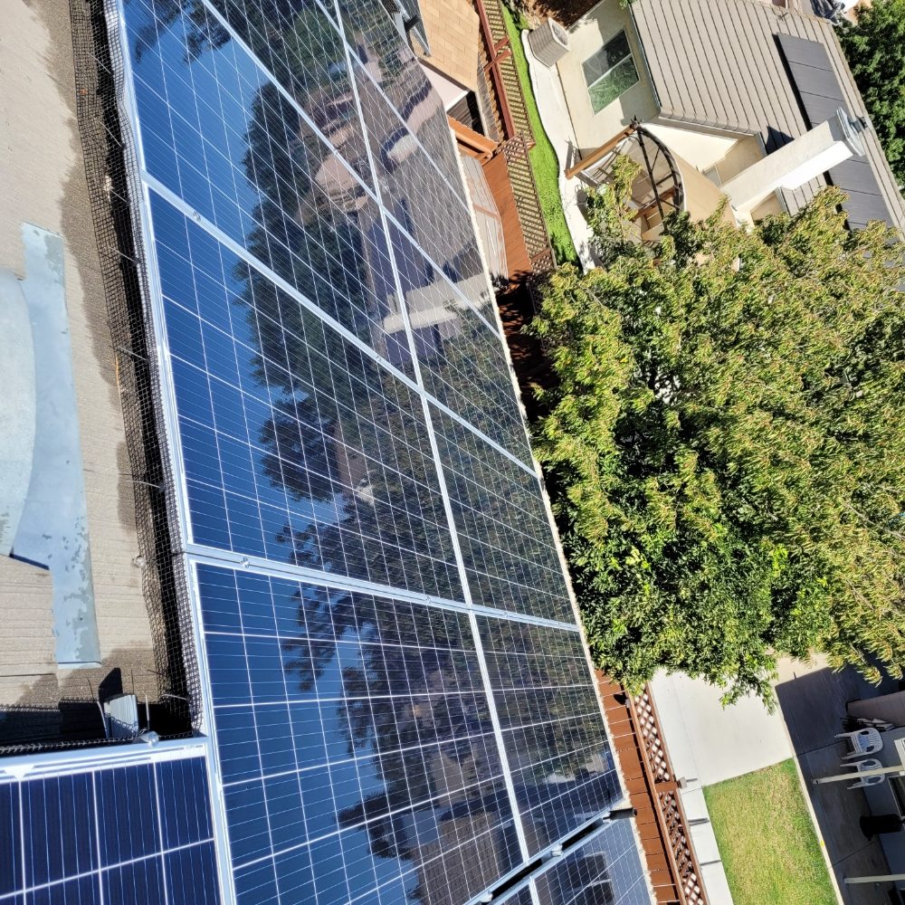 SUNSHINER SOLAR PANEL CLEANING AND PIGEON CONTROL 323 Photos